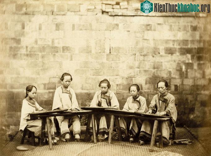Các nhân công vò, sàng lá trà, ảnh chụp thập niên 1870, chiều ngang 27 cm.