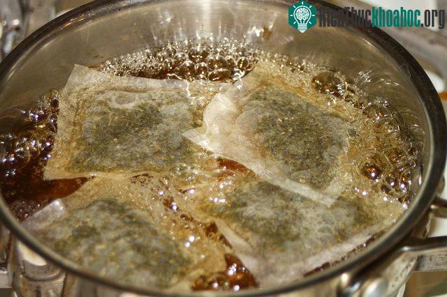 Dùng bã trà pha với nước là bạn có ngay thuốc phòng sâu bệnh rồi.
