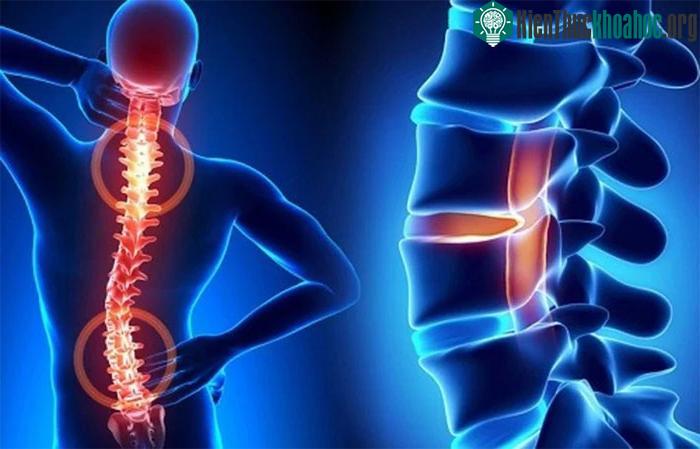 Canxi trong rau dền cao gấp 3 lần so với rau bina và vượt trội hơn cả sữa bò.