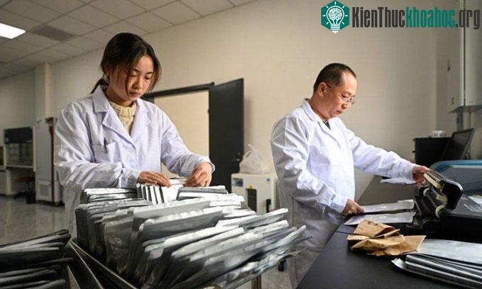Hai nhà nghiên cứu đóng gói hạt giống trong các túi màng nhôm có mã vạch.