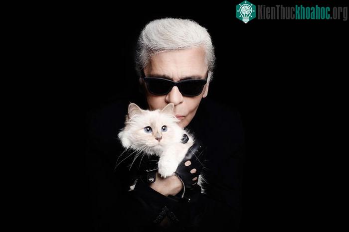Không chỉ đơn giản là vật nuôi, Choupette còn được xem như nàng thơ của Karl Lagerfeld.