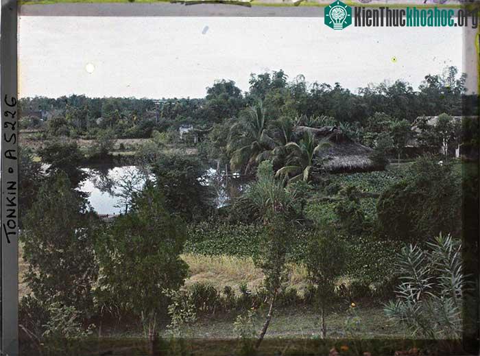 Khung cảnh thôn quê ở ấp Thái Hà.