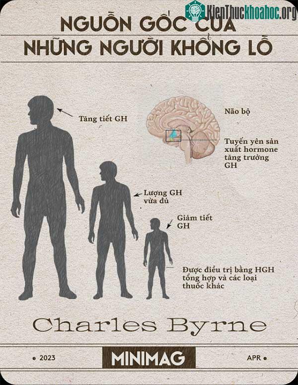 Nguồn gốc của những người khổng lồ