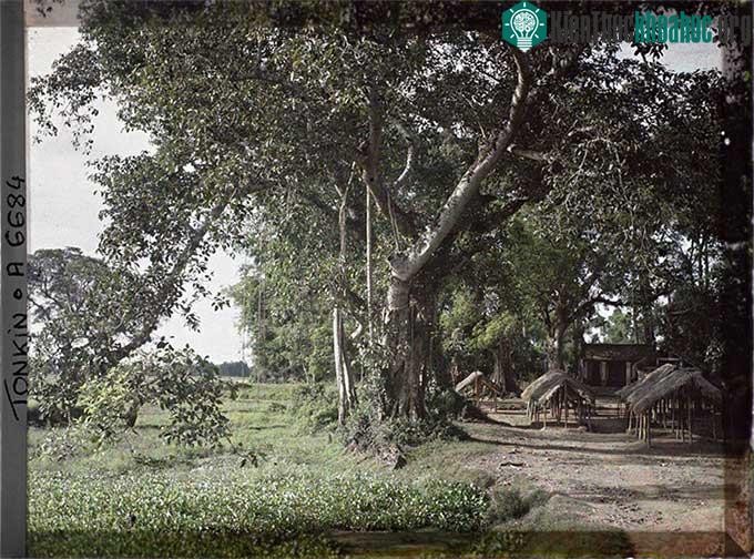 Chợ làng Định Công.