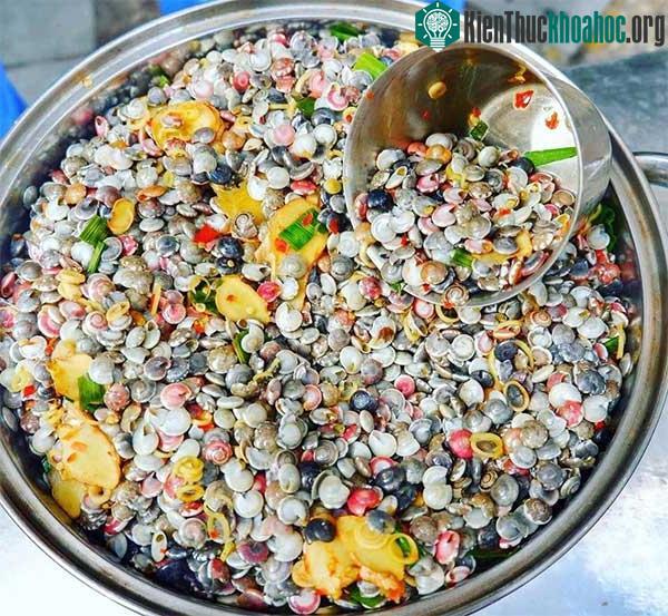 Ốc ruốc luộc gần đây là món ăn được bày bán khá nhiều trên thị trường.