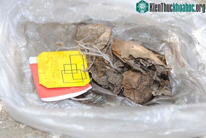 Đối với rau ưa axit, trước khi bón cho rau trồng, hãy trộn thêm bã trà vào trong phân bón