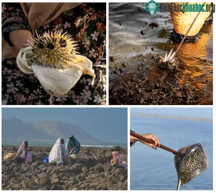 Những người phụ nữ khoe chiến tích mình đạt được