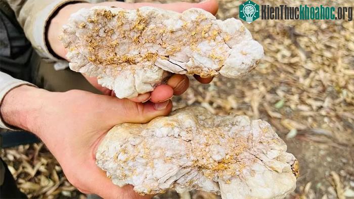 Cục vàng được định giá 160.000 USD.