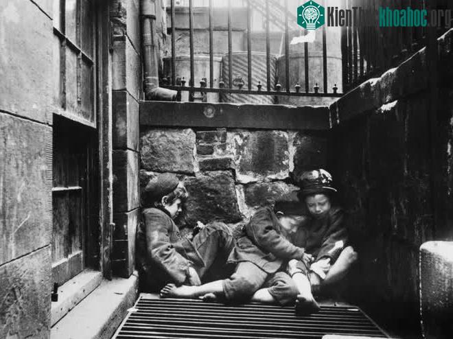 Ba cậu bé rúc vào nhau để sưởi ấm ở New York năm 1895