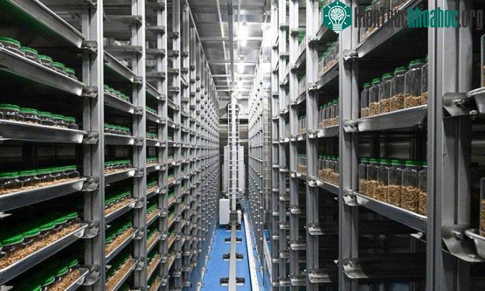 Khung cảnh bên trong Ngân hàng Tài nguyên mầm Nông nghiệp Thiên Tân.