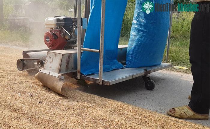 Lúa được hốt, quét sạch sẽ nơi chiếc máy đi qua