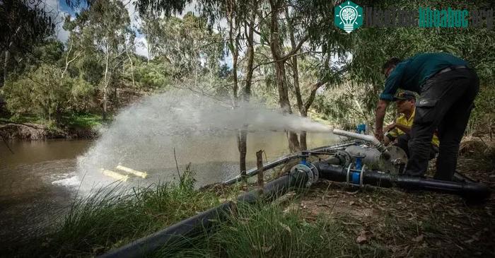 Dơi cũng cần vòi phun nước mát khi sóng nhiệt ập đến Melbourne ảnh 2