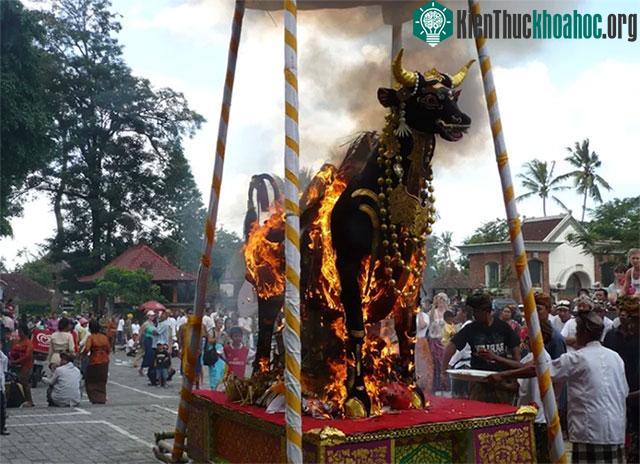 Cỗ quan tài hình con bò ở Bali.