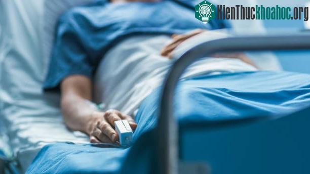 Mô hình mới có thể dự đoán tỷ lệ sống sót của bệnh nhân ung thư.