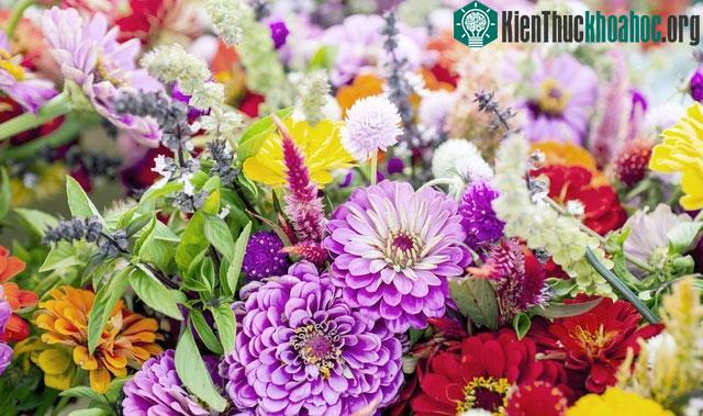 Màu sắc, cái đẹp... có thể đem lại cảm hứng sáng tạo.