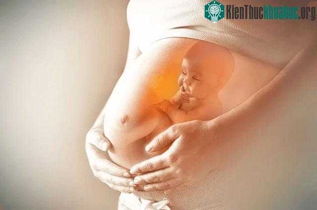 &nbsp;Việc thuận tay ít nhất có một phần là do di truyền