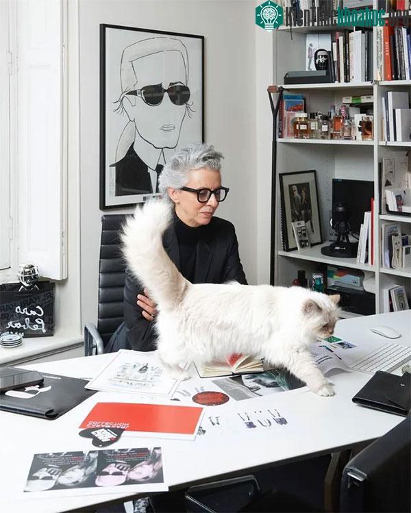 Choupette cũng trở thành hình mẫu để Karl Lagerfeld sáng tạo nên những thiết kế mới