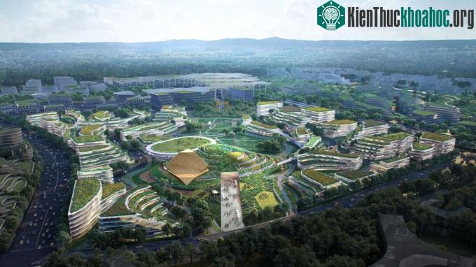 Thành phố hướng đến tương lai
