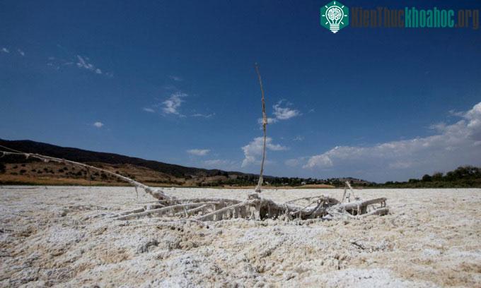 Ảnh chụp hồ Elizabeth Lake tại California (Mỹ) tháng 6/2021.