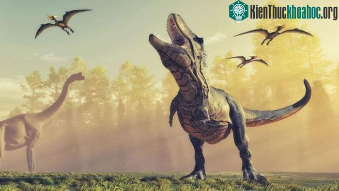 Có khoảng gần 1,7 tỷ con T-rex từng tồn tại trên Trái đất của chúng ta.