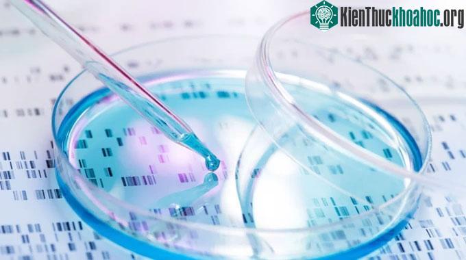 Các nhà khoa học đang tìm ra những cách mới để xử lý hóa chất vĩnh cửu.