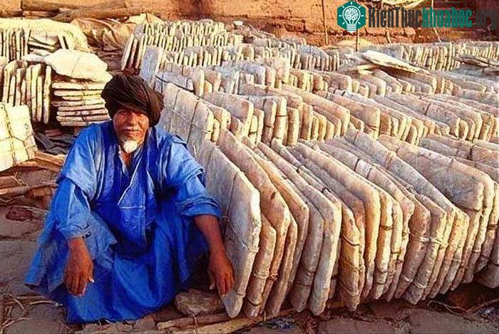 Một người buôn muối tại Châu Phi, nơi đây muối vẫn rất được coi trọng.