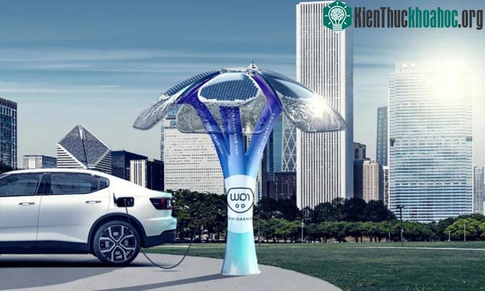 SolarBotanic Trees hợp tác với Raw Charging để lắp đặt các cây sạc xe điện.