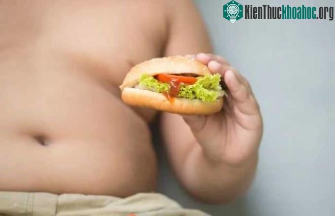 Béo phì là gốc rễ của các loại bệnh mãn tính