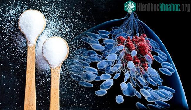 Đường không làm khối u phát triển nhanh hơn.