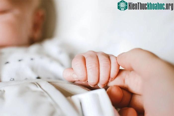 Em bé được sinh ra có DNA từ cha mẹ đẻ.