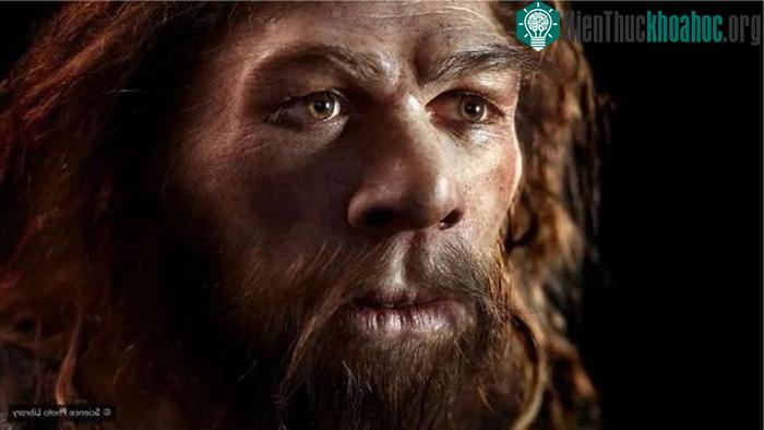 Sống mũi cao, thẳng có thể là di sản từ loài người khác