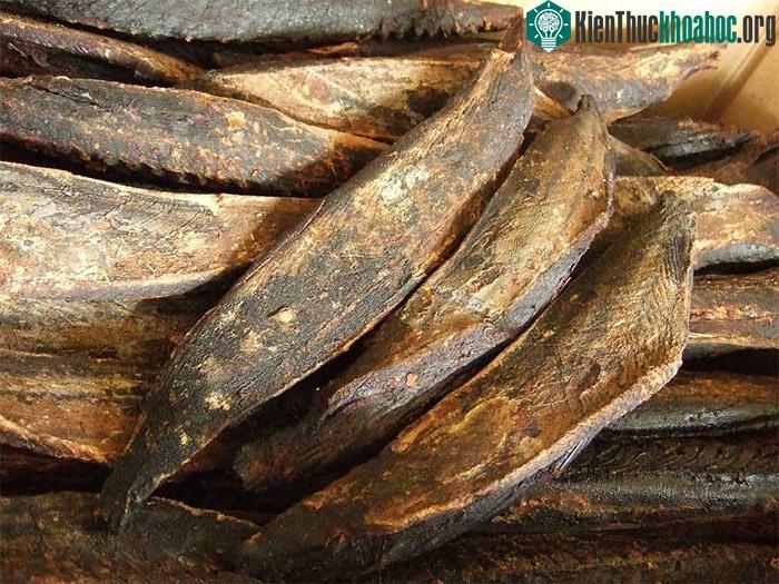 Katsuobushi có thể khiến nhiều người lầm tưởng là khúc gỗ.