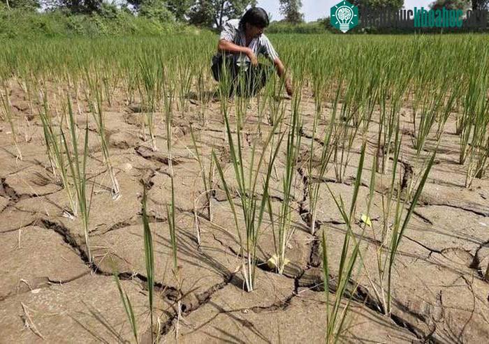 El Nino chính thức xuất hiện làm gia tăng nắng nóng và khô hạn.