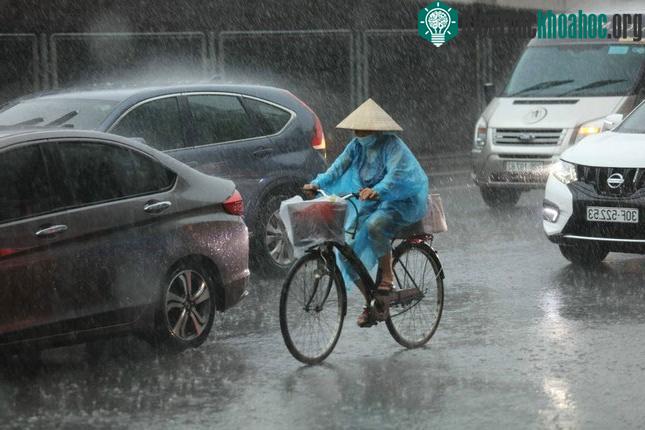 Miền Bắc chuyển mưa từ chiều tối nay.