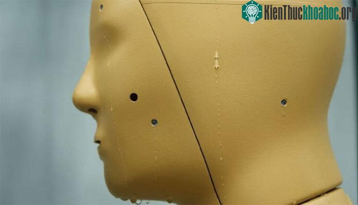 "Robot cảm ứng nhiệt" gọi là ANDI.