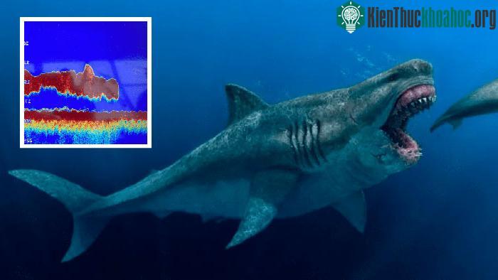 Cá mập Megalodon