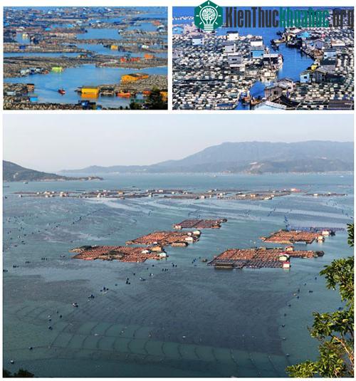 Làng Tam Đô Áo rất phong phú về nguồn tài nguyên
