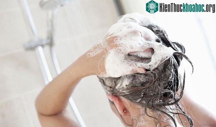 Gội đầu quá thường xuyên có thể làm tóc khô và xỉn màu