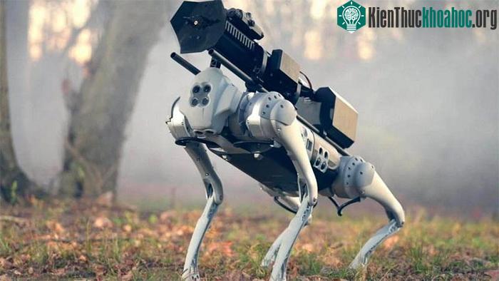 Chó robot Thermonator.