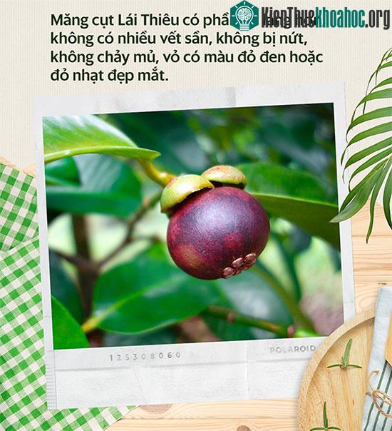 Măng cụt - siêu trái cây