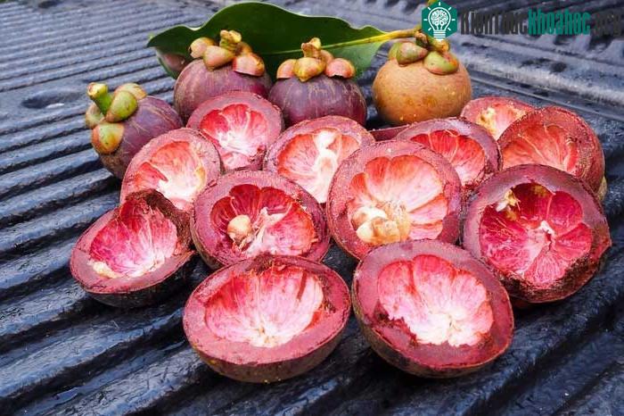 Lợi ích nổi bật nhất của vỏ măng cụt là có khả năng chống oxy hoá, ngăn ngừa nhiều bệnh tật.