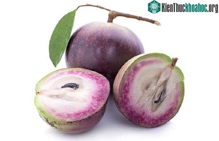 Quả vú sữa
