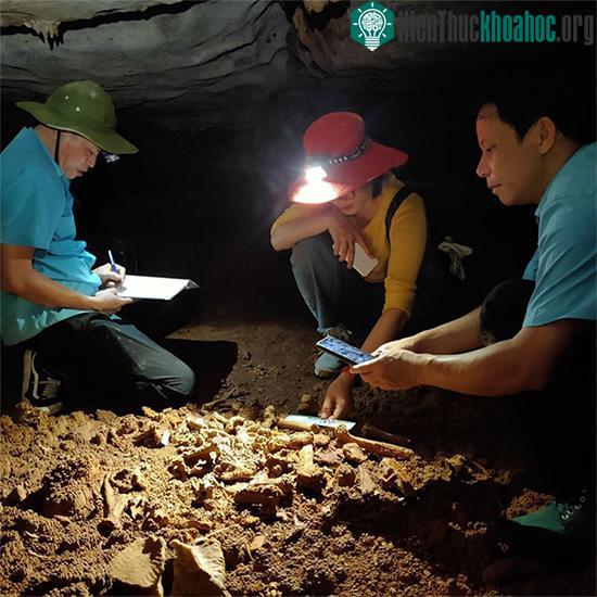 Các nhà khoa học nghiên cứu hóa thạch xương cổ.