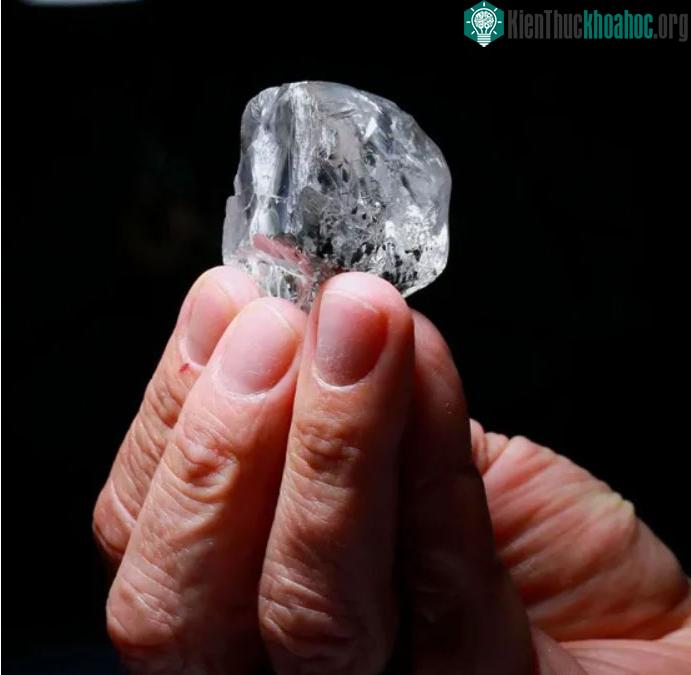 Mổ vịt bất ngờ đụng trúng "vật thể lạ trong suốt", tưởng đồ bỏ hóa ra giá hơn 300 tỷ ảnh 1