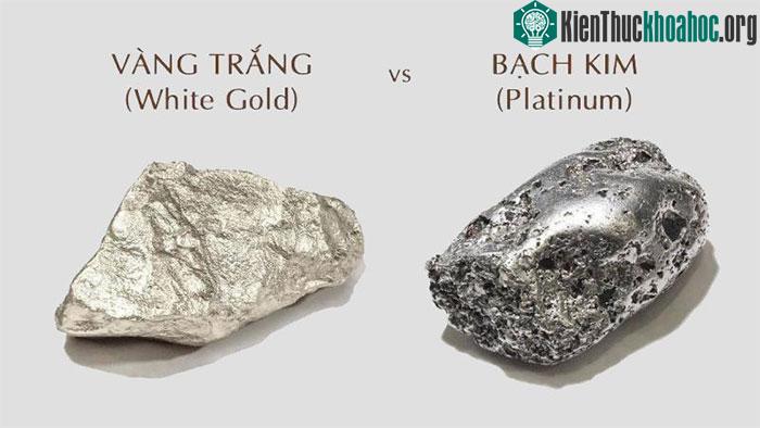 Bạch kim không phải là vàng trắng.