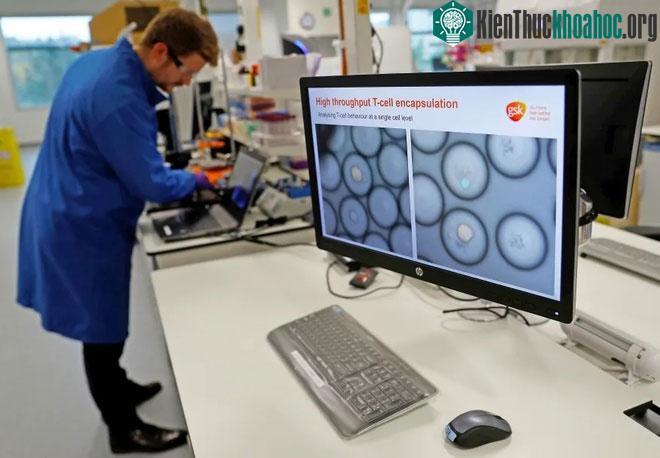 Các nhà khoa học tìm cách chữa bệnh ung thư bằng vi sinh vật có trong da chuột.