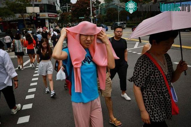 Cái gì cũng có thể trở thành vật dụng che nắng đối với người dân Singapore