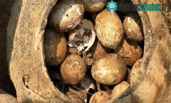 Vì sao các nhà khảo cổ tuyệt đối không chạm tay vào hai thứ “sặc sỡ” trong mộ cổ? ảnh 1