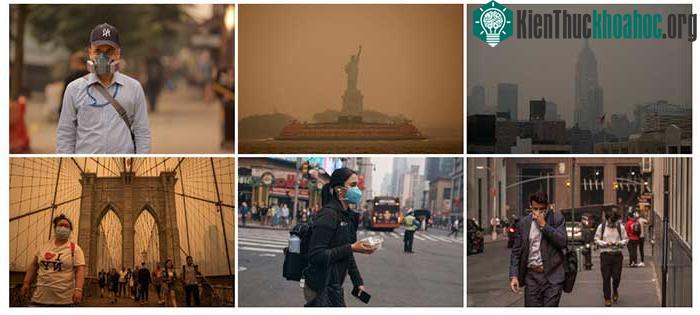 Bức ảnh từ New York khiến cả thế giới sửng sốt và "bi kịch Icarus" ảnh 1