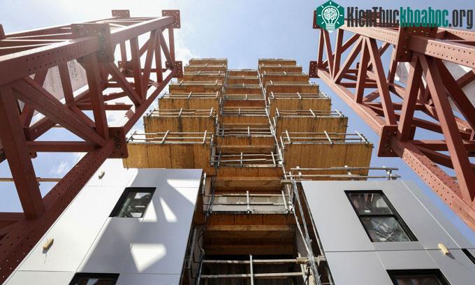 Hai tháp bảo vệ của tòa nhà gỗ trong thử nghiệm